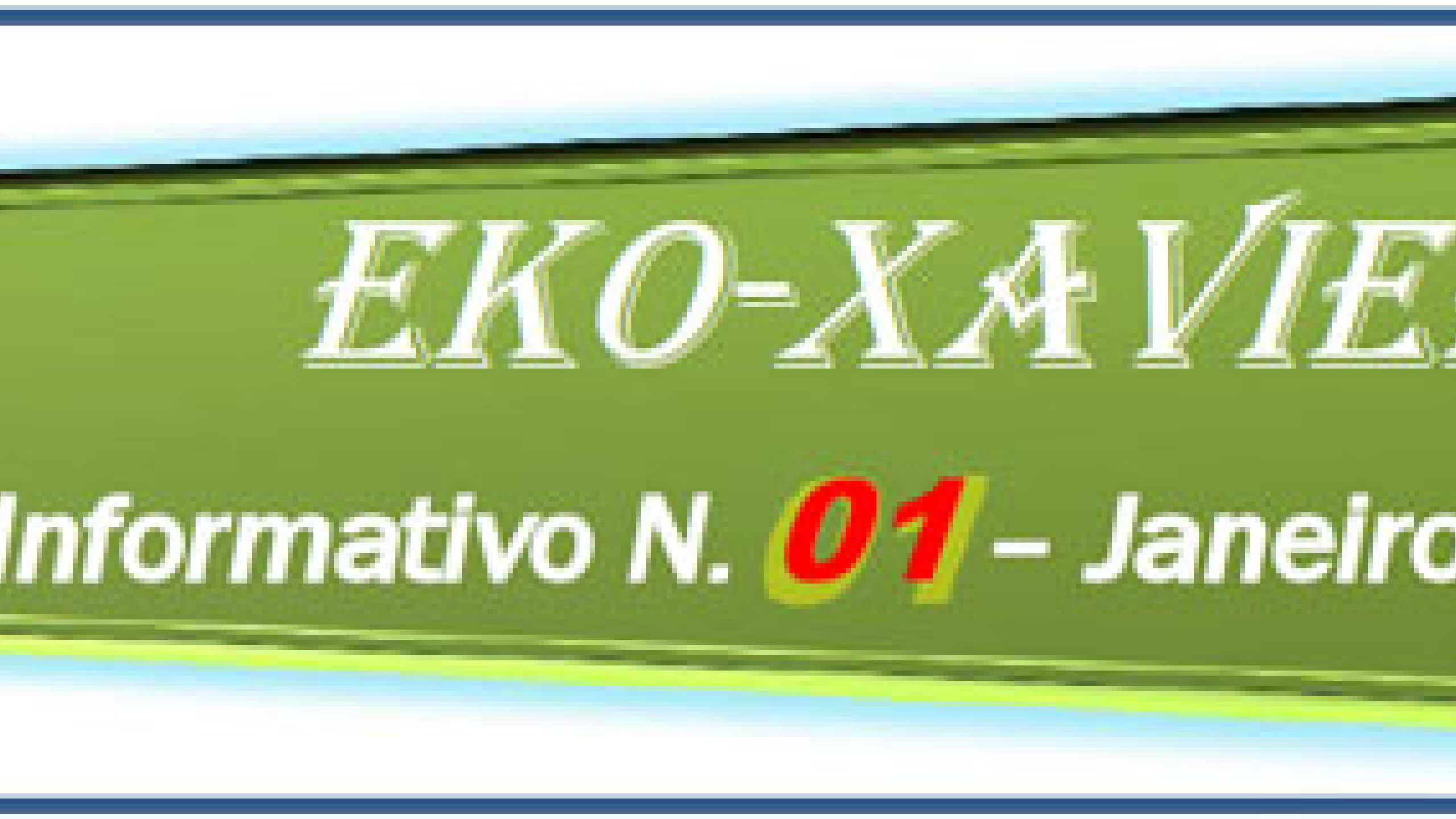Eko Xavier N° 1. 2016