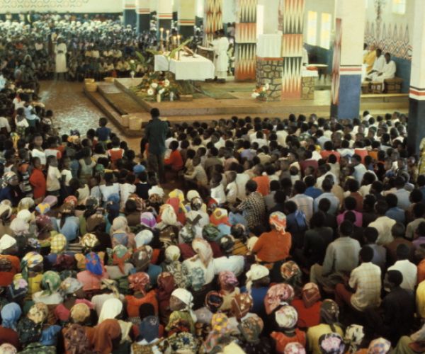 R.D. Congo Bushi