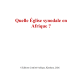 CEA 18 - Quelle Église synodale en Afrique ?