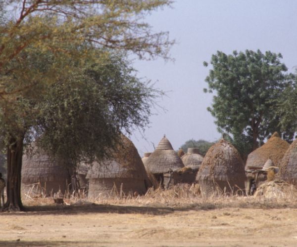 Camerun Nord