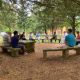 Comunità perfetta o fraternità autentica?