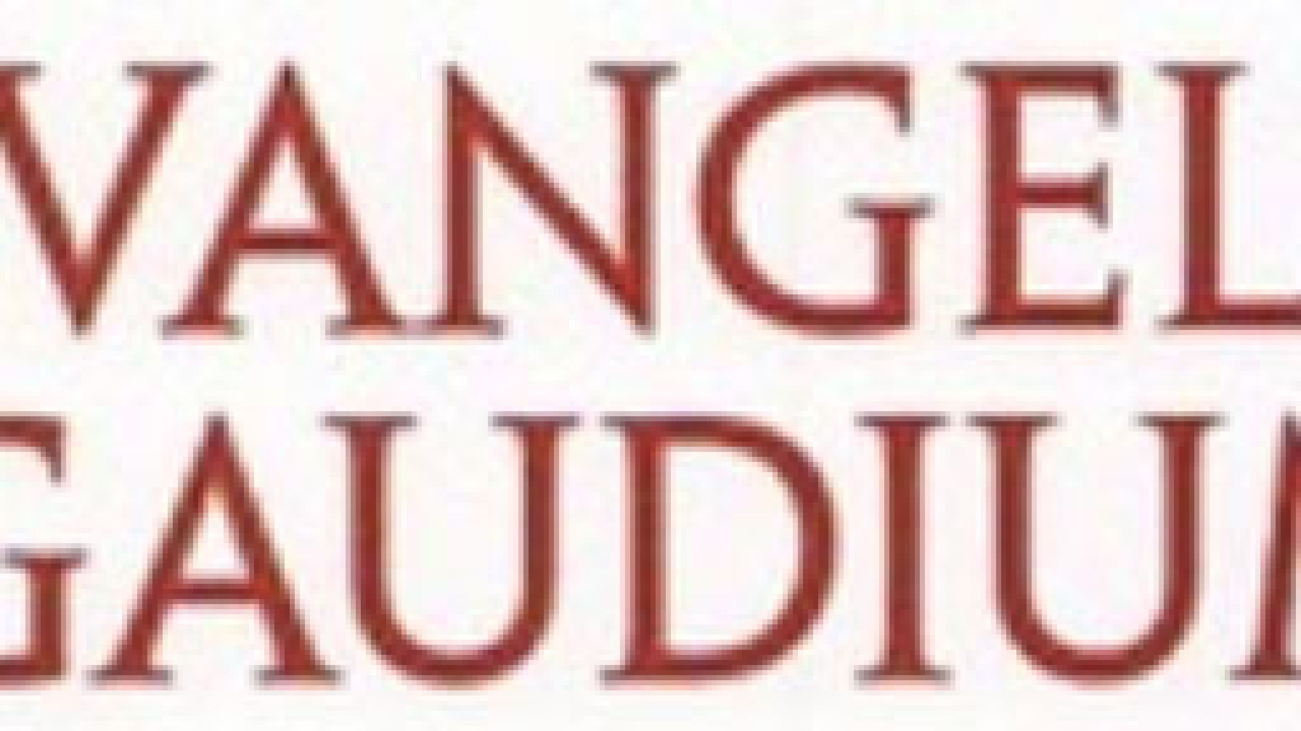 Défis pastoraux issus d’Evangelii gaudium