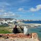 Saveriani in Marocco: Un Documentario Racconta Dialogo e Fraternità Saveriani in Marocco: Un Documentario Racconta Dialogo e Fraternità