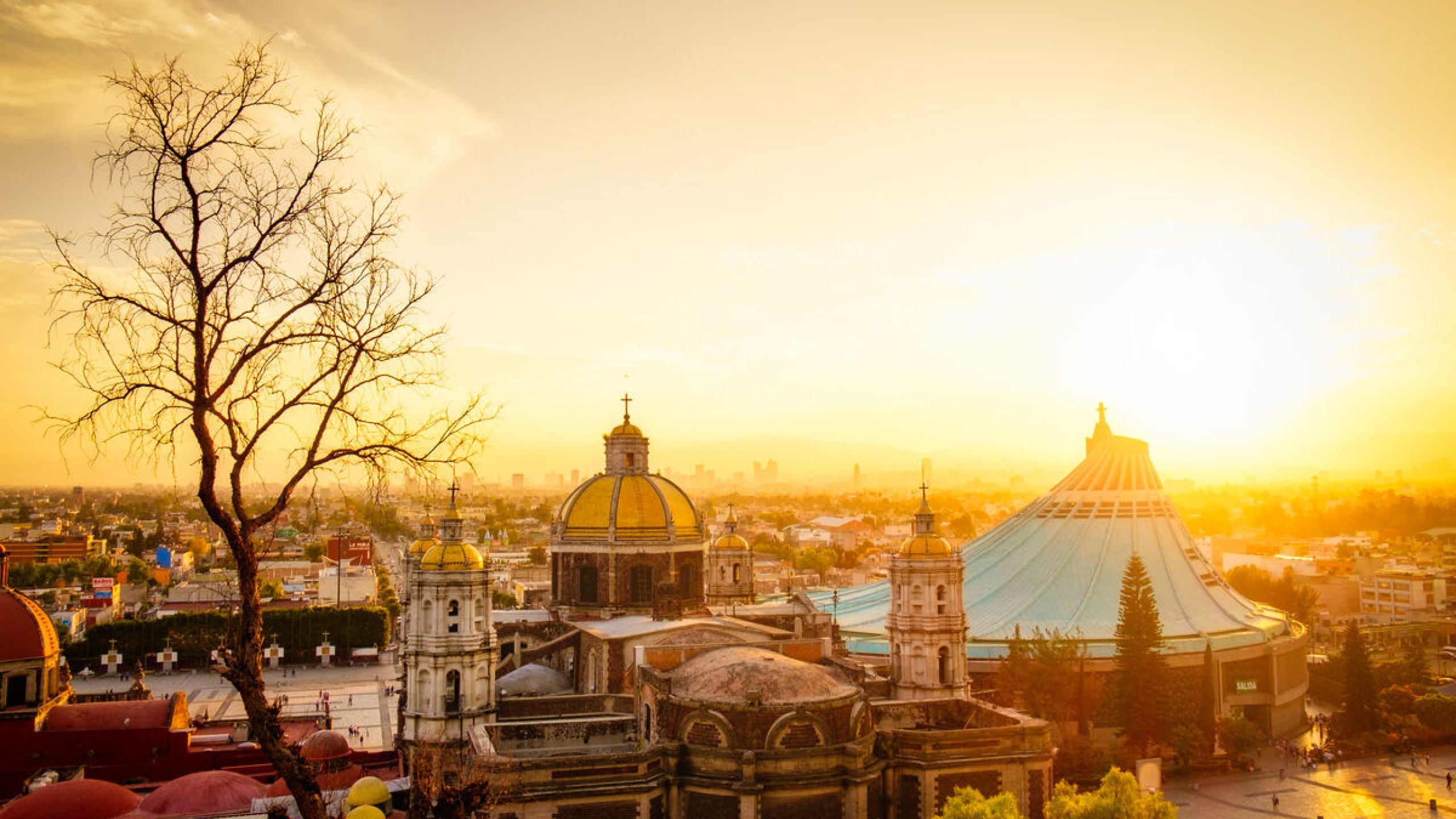 Todos somos discípulos misioneros en salida