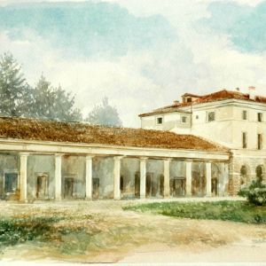 Uccelli - Luoghi
