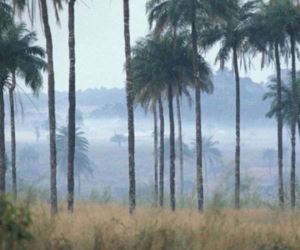 Sierra Leone (Kamabai 1)
