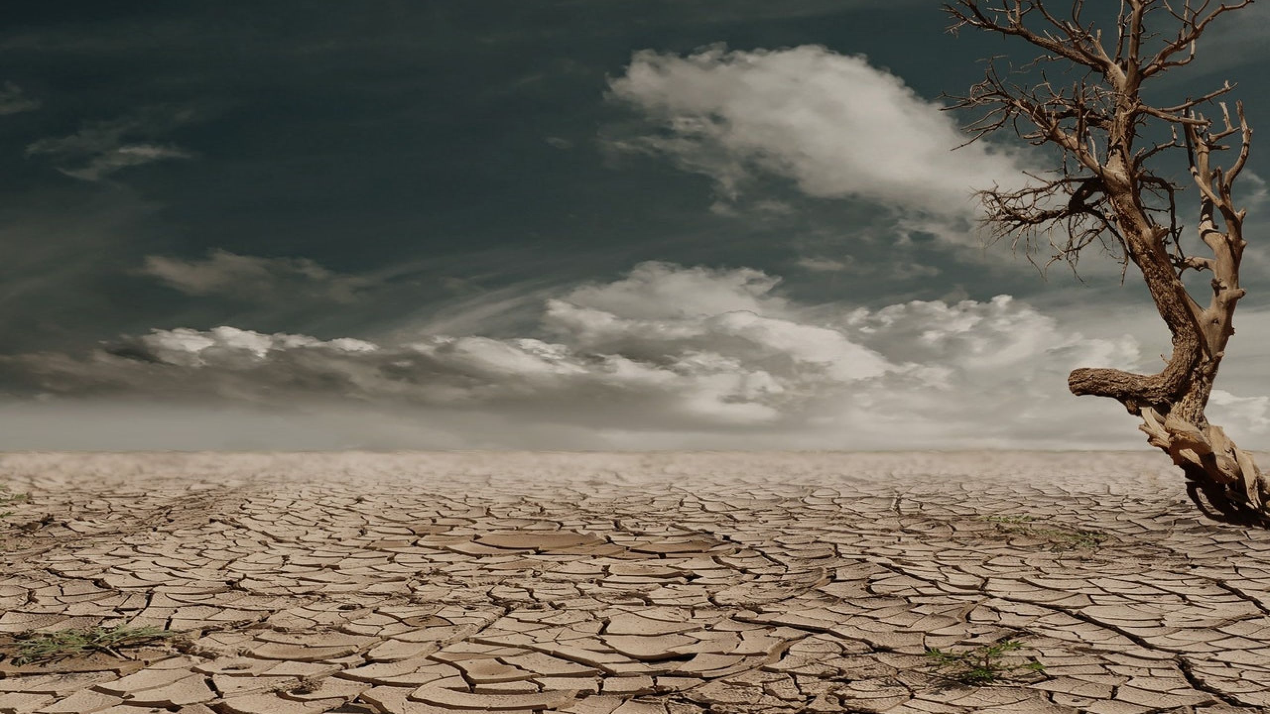 Il grido della terra