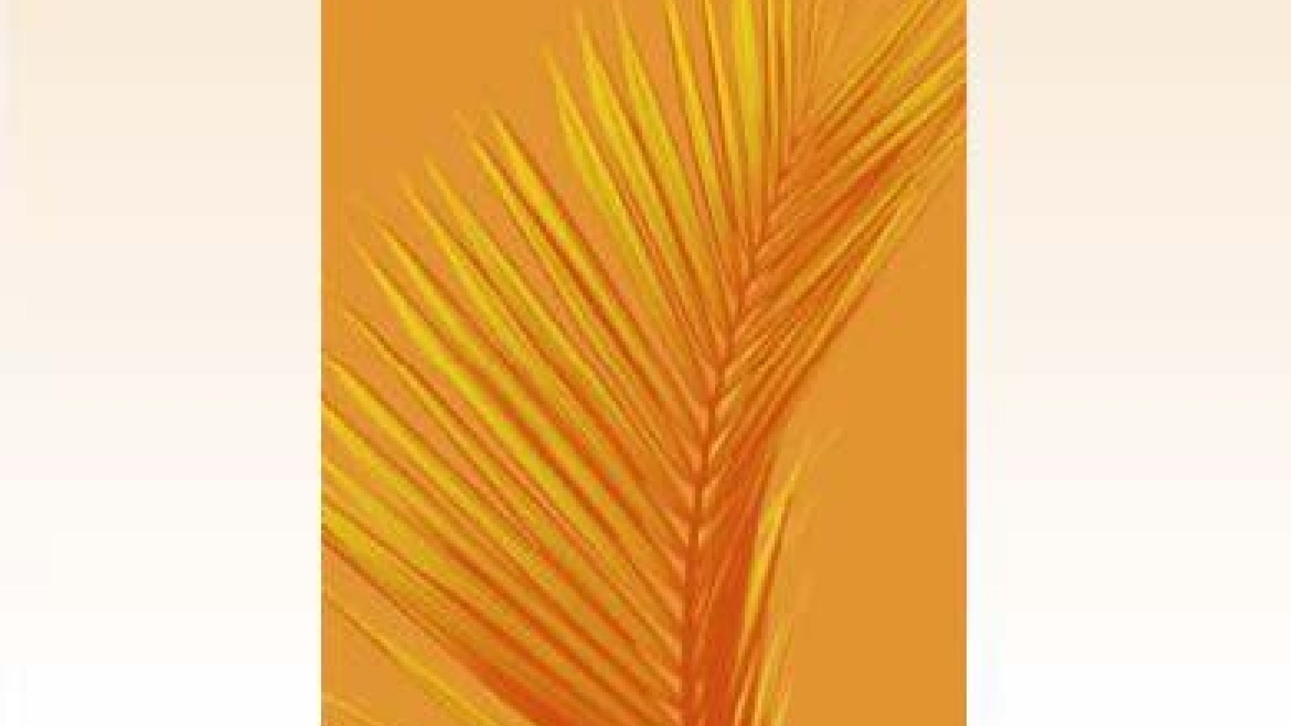 Mémoire des Martyrs Xavériens 2. Célébration