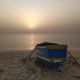 The forgotten immigration of West Africa
