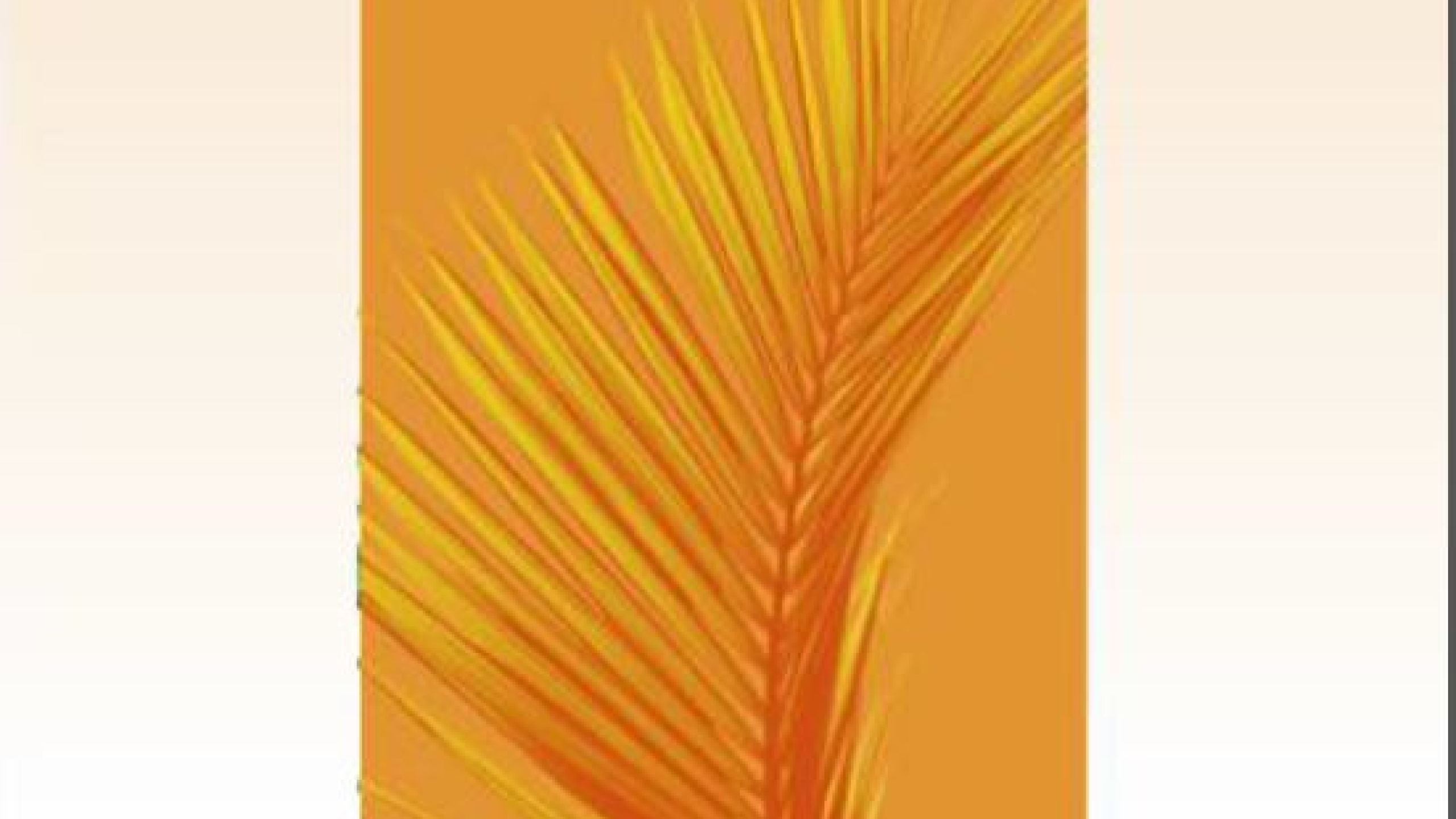 Mémoire des Martyrs Xavériens