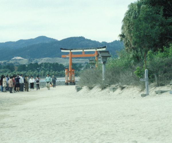 miyasaki