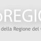 Info Regione N° 25