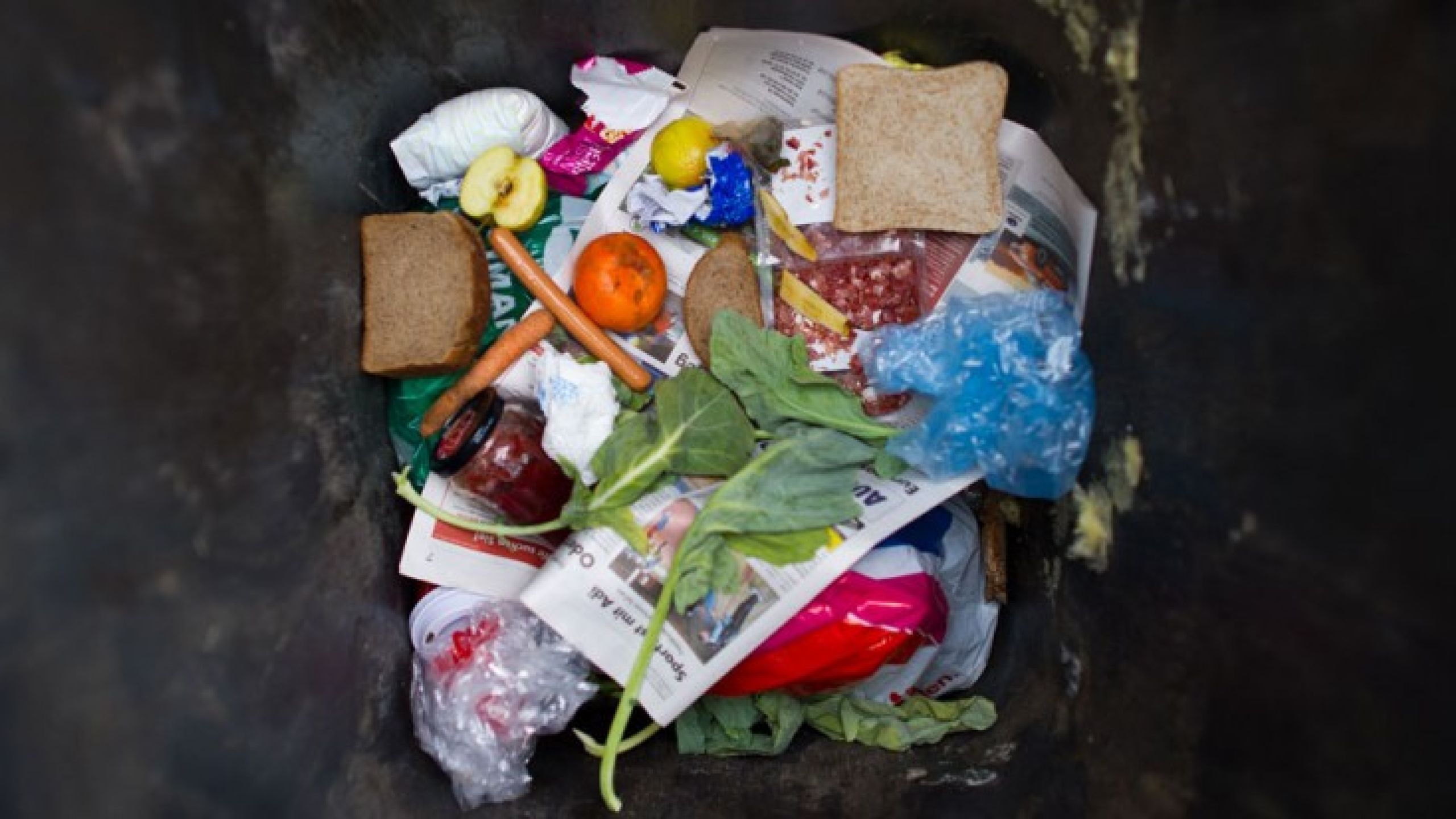 Essai d’une démocratie écologique mondiale