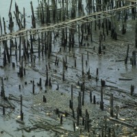 Buenaventura02_036.jpg