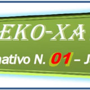 Eko Xavier N° 1. 2016