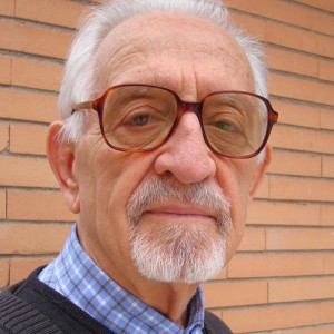 P. Stefano Berton