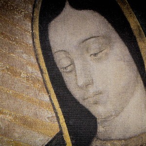 A mensagem inculturada de Nossa Senhora de Guadalupe
