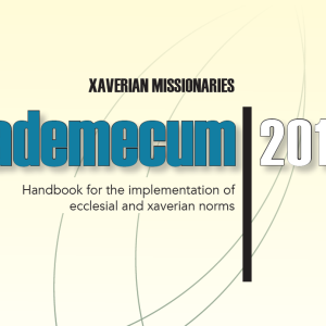 VADEMECUM 2015 (en)