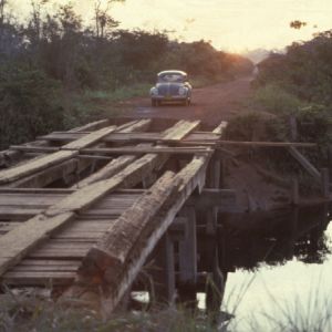 Xingu