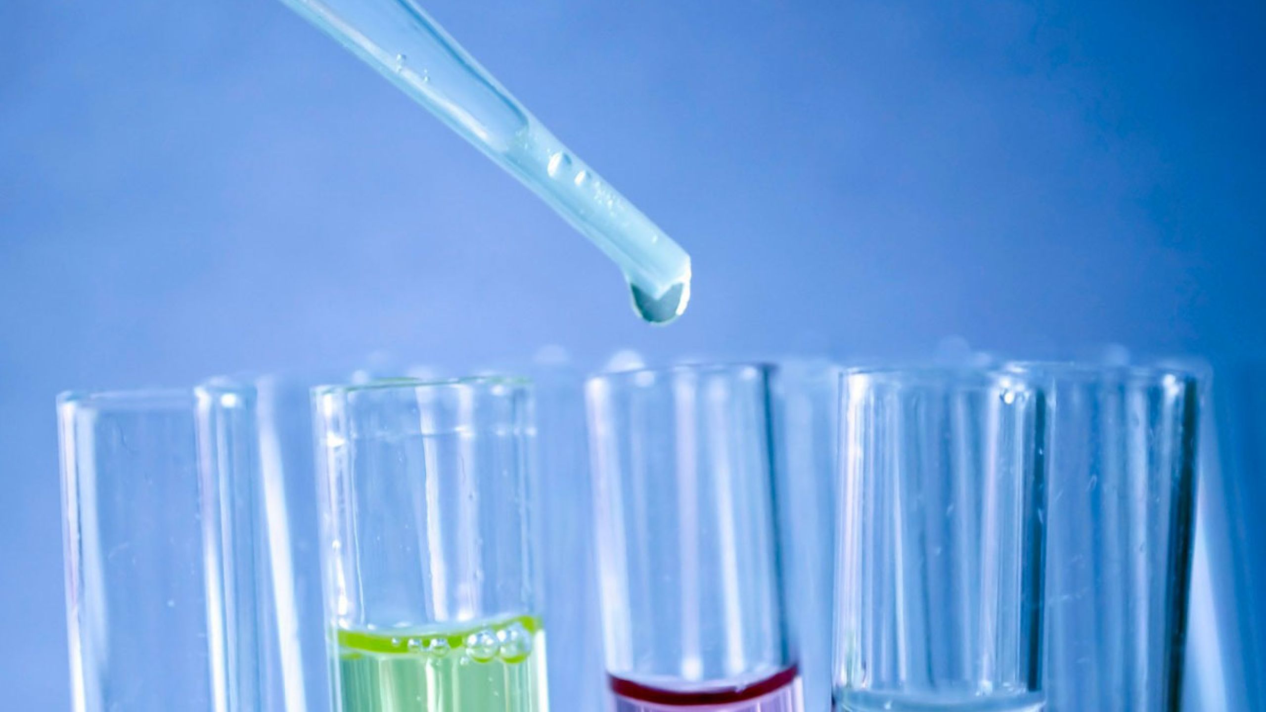 Para un barco sin rumbo…