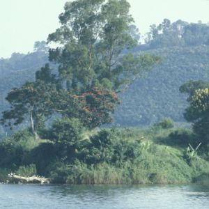 R.D. Congo Bukavu 1