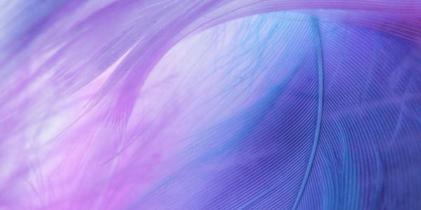 Presenças dos Missionários Xaverianos (SX) no mundo