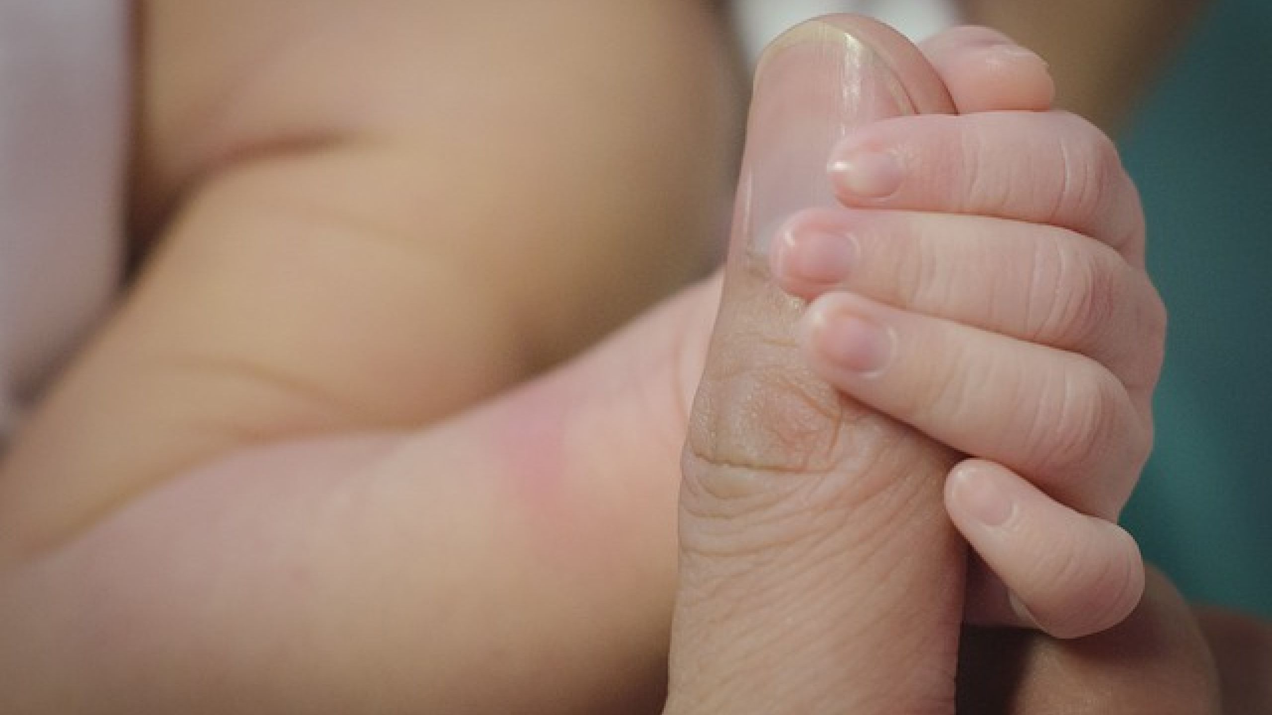 Nelle fasce dell'essenzialità