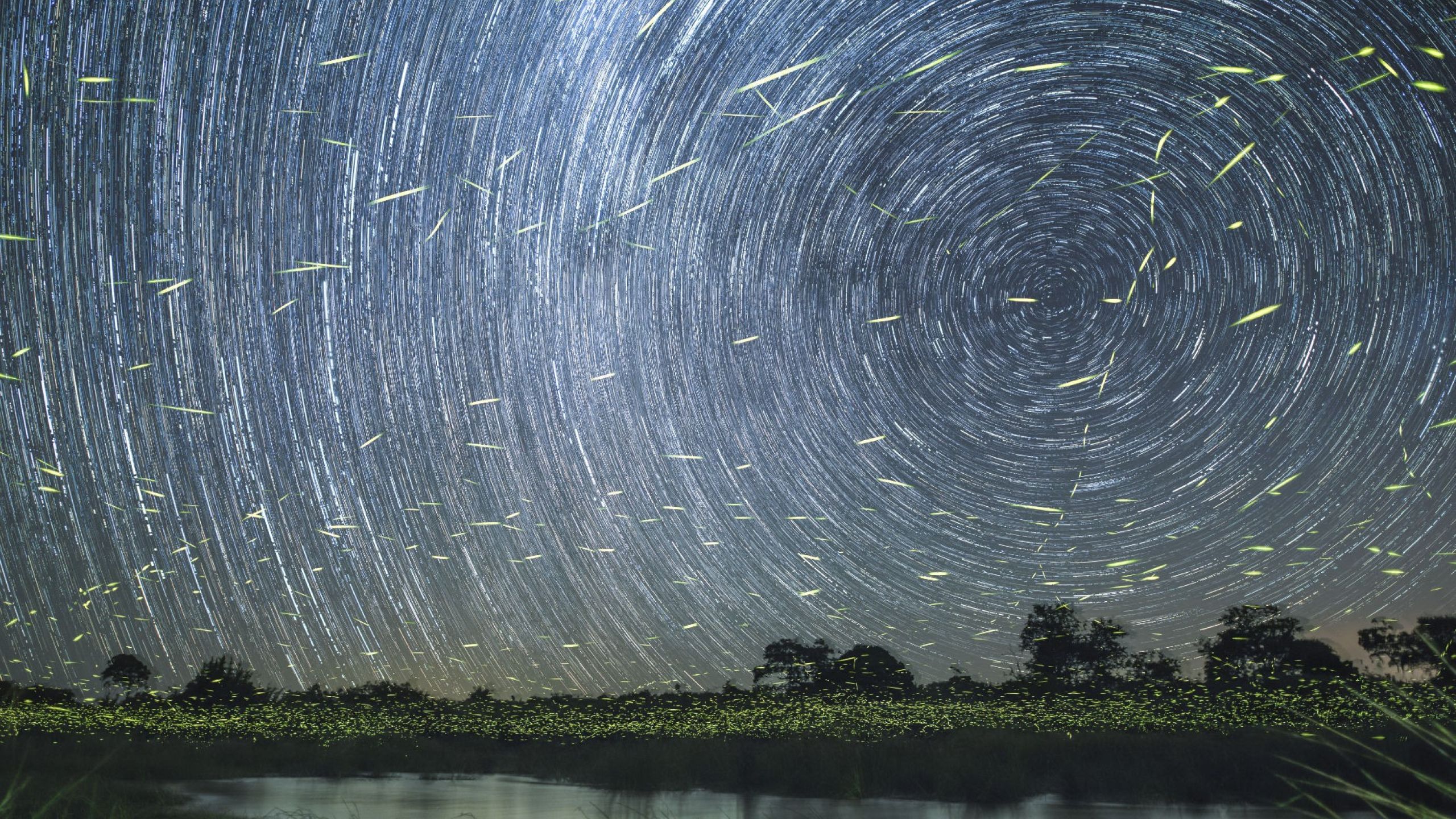 El Amor Familiar y su importancia en la Misión de hoy