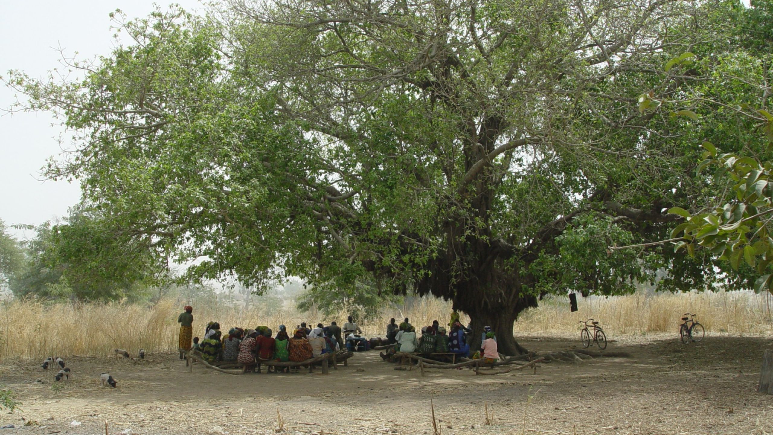 Messaggio del Superiore Generale per la Quaresima 2022