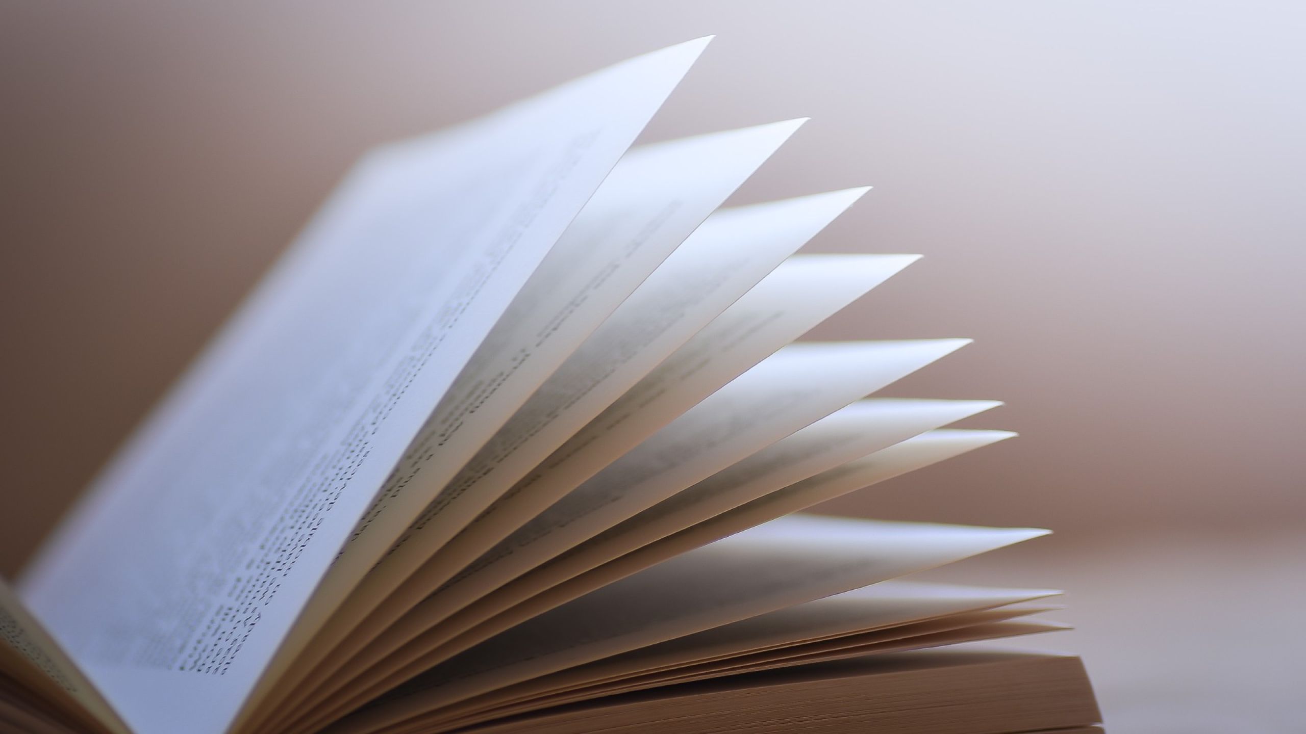 Documento di sintesi. Risposte alle schede tematiche