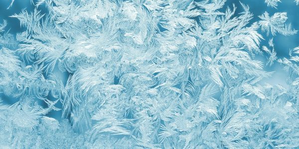 Presenze dei Missionari Saveriani (SX) nel mondo