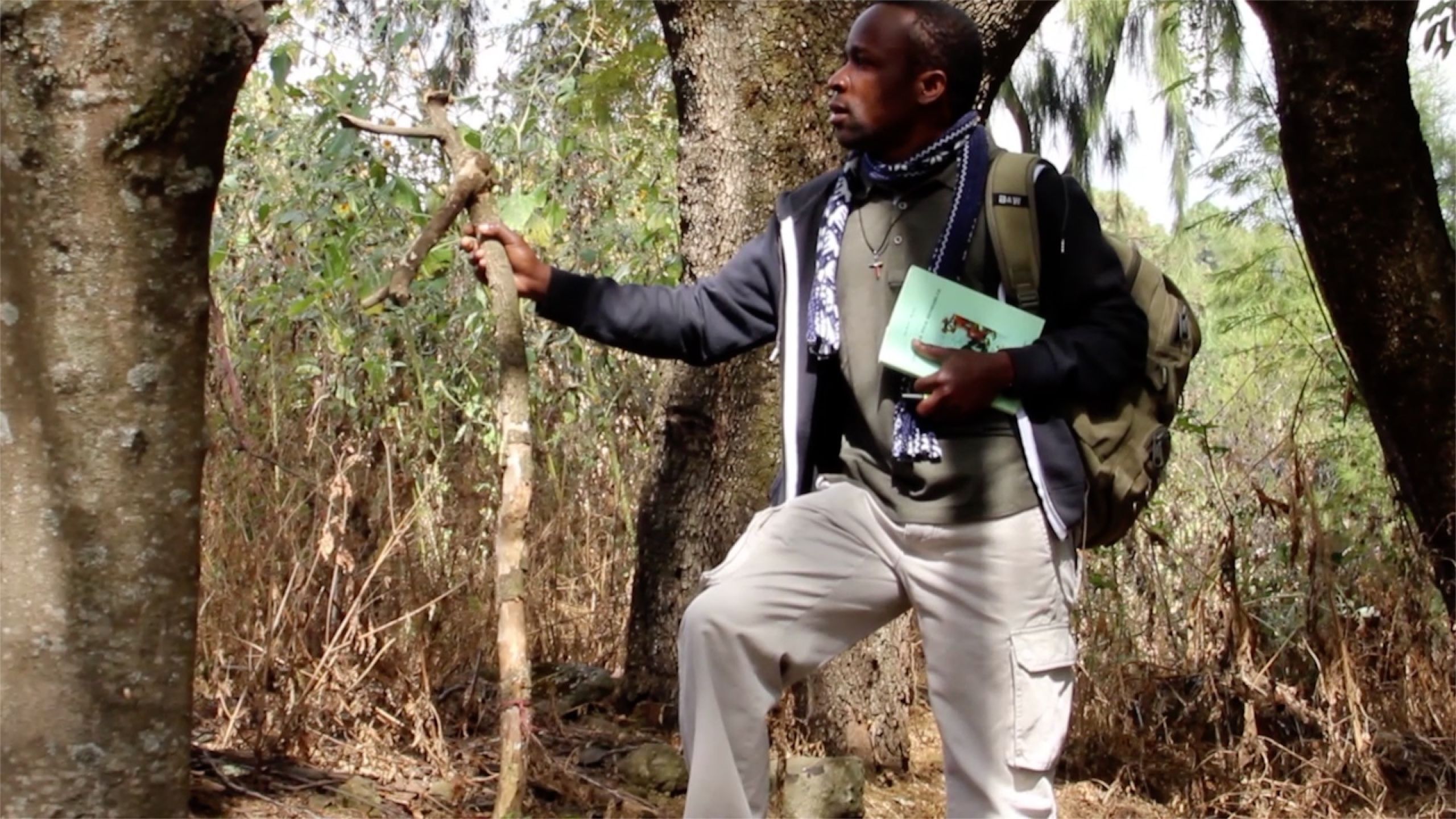 Kairós: le bon moment pour recommencer
