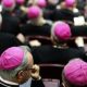 Instrumentum laboris, esperienza con la voce di tutti