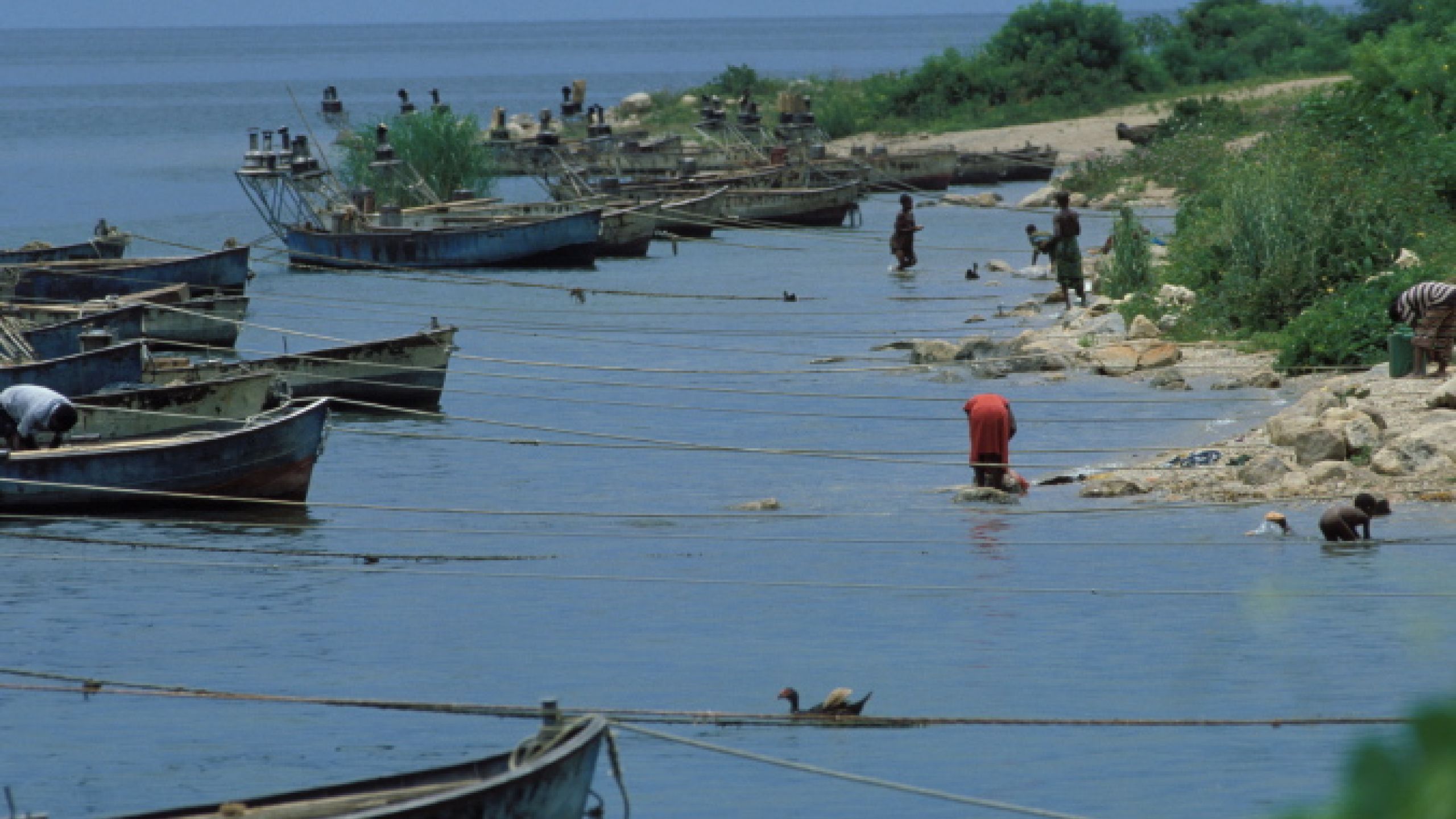 Servi di Dio Faccin, Carrara, Didoné e Joubert