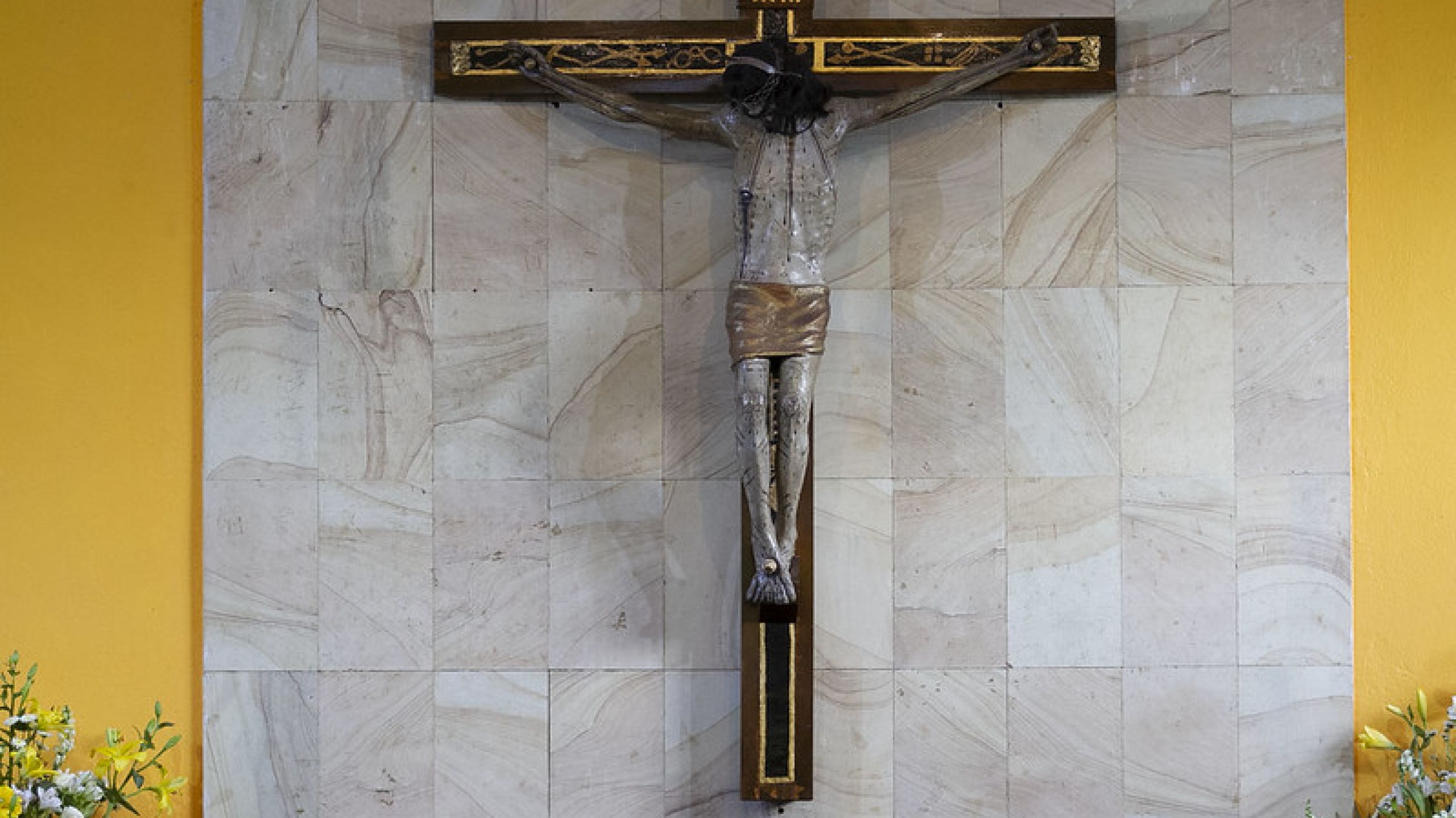 Nuestra consagración misionera nace de una experiencia de amor