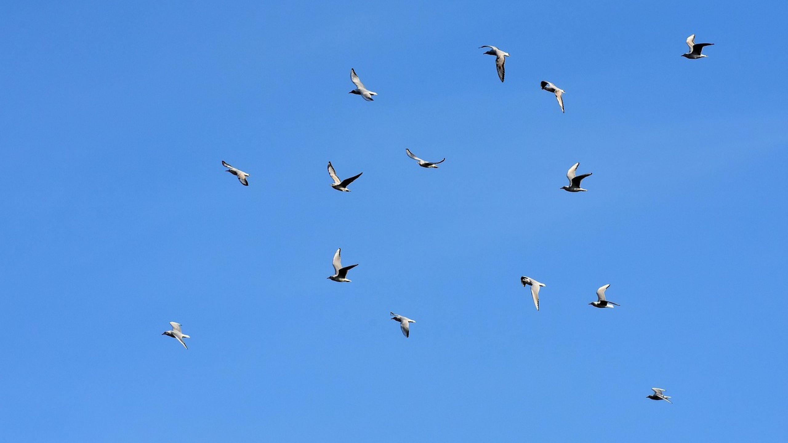 Business o Provvidenza?