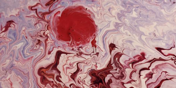 Francis Xavier (Goa, April 1552) to fr. Barzeo: About Preaching