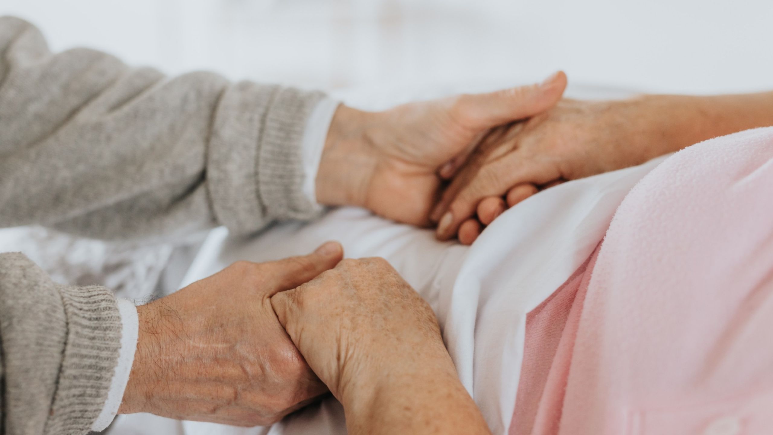 Papà Paolo: esempio di formazione permanente