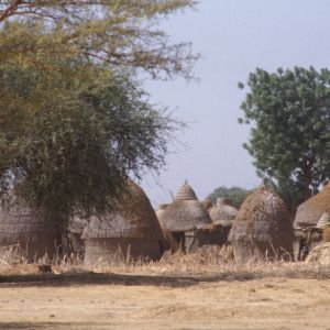 Camerun Nord