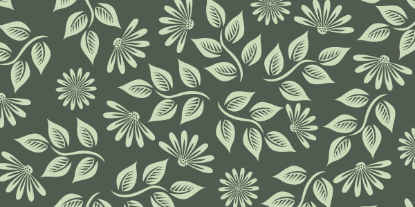 St. Francis Xavier: Stages of life