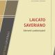 DOCUMENTO “LAICATO SAVERIANO"