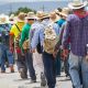 La Iglesia Latinoamericana en proceso de conversión sinodal