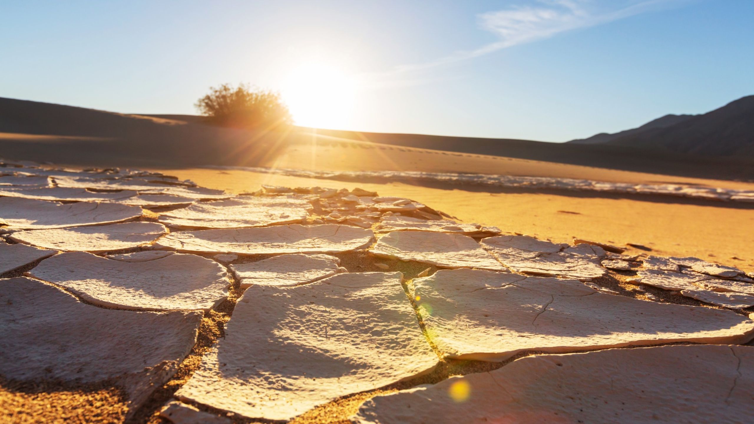Desertificazione e siccità