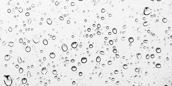 Presenças dos Xaverianos na EUROPA e AMÉRICAS: Ano de abertura