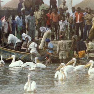 R.D. Congo Goma