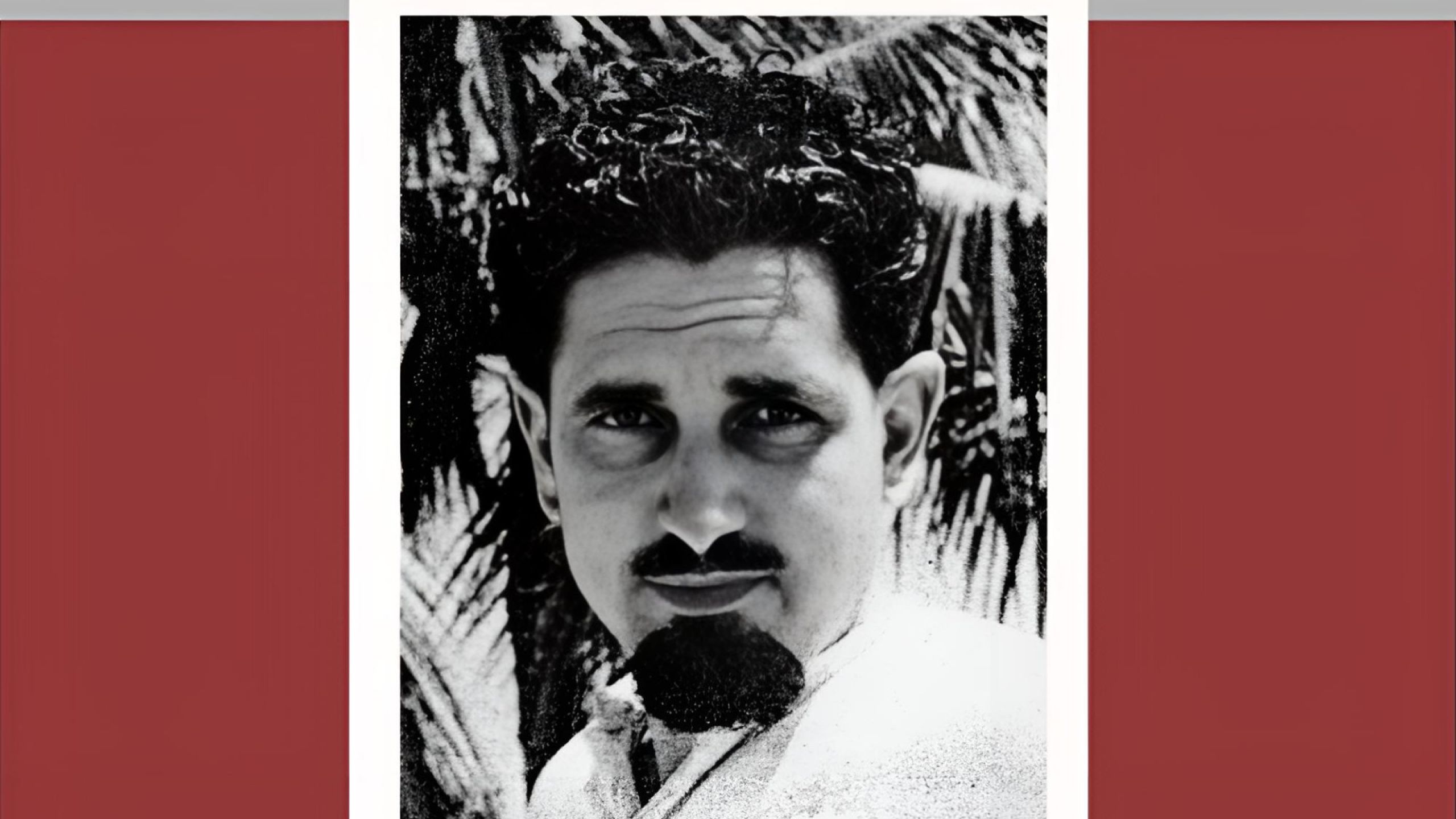 Rota P. Benito