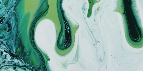 Francis Xavier to Ignatius of L. (from Goa): Profile of the Missionaries