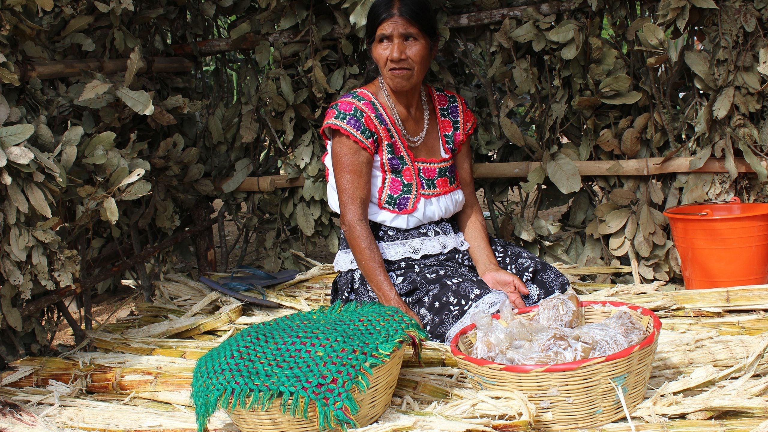Pueblos originarios