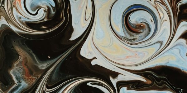 Francesco Saverio a Ignazio di L. (da Goa): Profilo dei Missionari