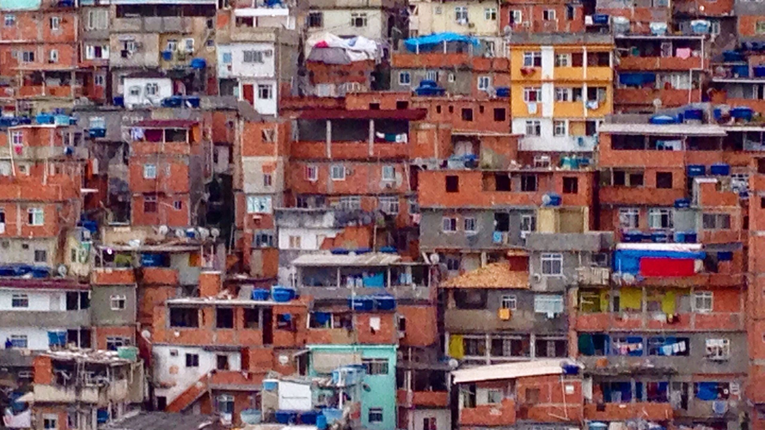 Una scuola di libertà